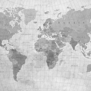 Papier Peint Carte Du Monde Monochrome Texturé – Image 1