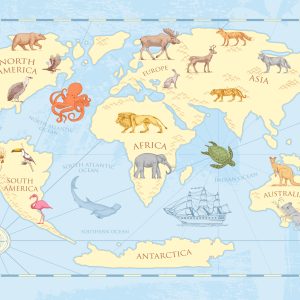 Papier Peint Carte Du Monde Classique Pour Enfants – Image 1