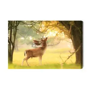 Peinture sur toile Un Cerf Proéminent Parmi Les Arbres – Image 2