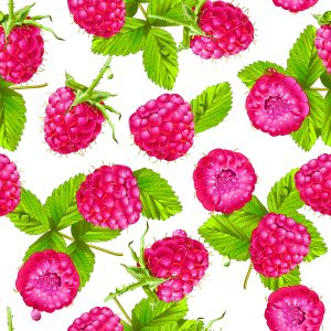 Papier Peint Pour La Cuisine - Framboises Juteuses – Image 1