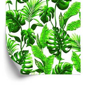 Papier Peint Monstera Et Feuilles De Palmier – Image 2