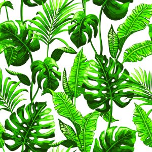 Papier Peint Monstera Et Feuilles De Palmier – Image 1
