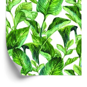 Papier Peint Feuilles Tropicales Aquarelles – Image 2