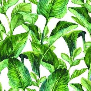 Papier Peint Feuilles Tropicales Aquarelles – Image 1