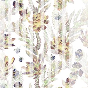 Papier Peint Plantes Succulentes Et Fougères De Style Vintage – Image 1