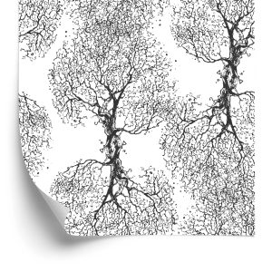 Papier Peint Arbres Originaux En Noir Et Blanc – Image 2