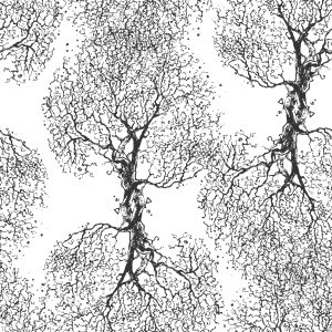 Papier Peint Arbres Originaux En Noir Et Blanc – Image 1