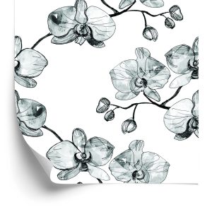 Papier Peint Pour Le Salon Orchidées Fleurs Orchidée Nature – Image 2