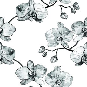 Papier Peint Pour Le Salon Orchidées Fleurs Orchidée Nature – Image 1