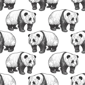 Papier Peint Pandas Qui Marchent – Image 1