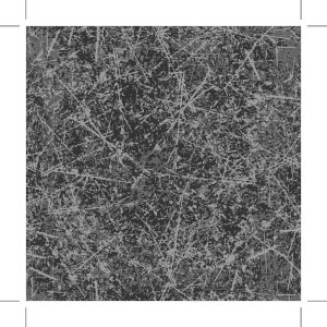 Papier Peint Béton Gratté Gris – Image 1