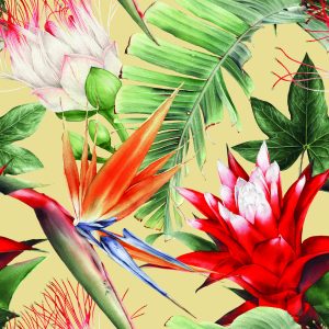 Papier Peint Fond D'écran – Image 1