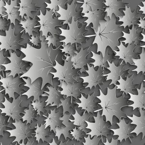 Papier Peint Feuilles Grises - Effet 3D – Image 1