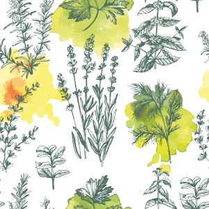 Papier Peint Plantes De Lavande Verte – Image 1