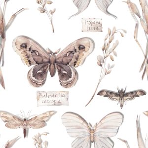 Papier Peint Pour Les Papillons De Cuisine, Les Fleurs, Les Plantes, La Nature – Image 1
