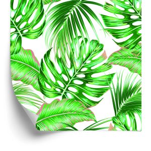 Papier Peint Feuilles Exotiques Colorées – Image 2