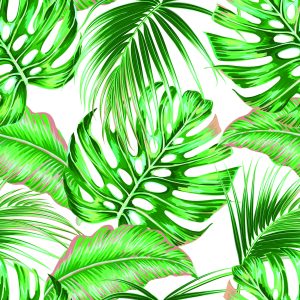 Papier Peint Feuilles Exotiques Colorées – Image 1