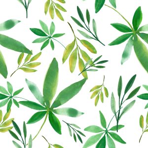 Papier Peint Feuilles Colorées Délicates – Image 1