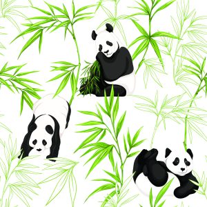 Papier Peint Pandas Et Plantes – Image 1
