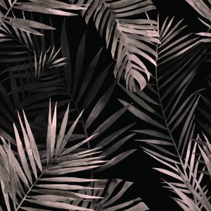 Papier Peint Feuilles De Palmier – Image 1