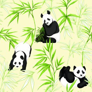 Papier Peint Pandas Et Plantes – Image 1