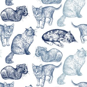 Papier Peint Chats De Race – Image 1