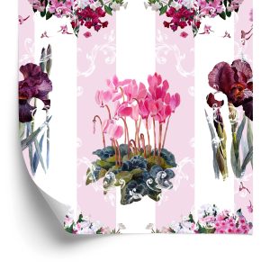 Papier Peint Plantes, Fleurs, Nature, Orchidées – Image 2