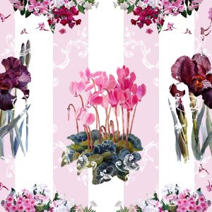 Papier Peint Plantes, Fleurs, Nature, Orchidées – Image 1