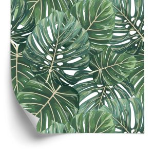 Papier Peint Vert – Image 2