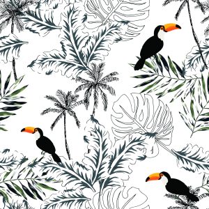 Papier Peint Toucans – Image 1
