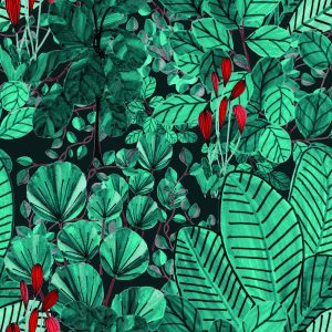 Papier Peint Feuilles De Monstère – Image 1