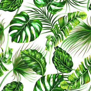 Papier Peint Feuilles De Jungle Tropicale – Image 1