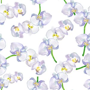 Papier Peint Orchidée Orchidée Fleurs De La Nature – Image 1