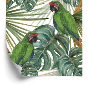Papier Peint Beaux Perroquets – Image 2