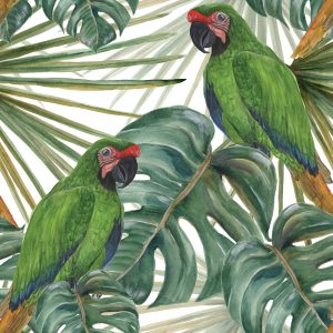 Papier Peint Beaux Perroquets – Image 1