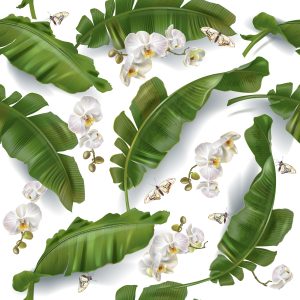 Papier Peint Fleurs D'orchidées Nature Pour Le Salon – Image 1