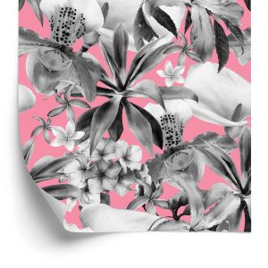 Papier Peint Orchidée Nature Plantes Nature – Image 2