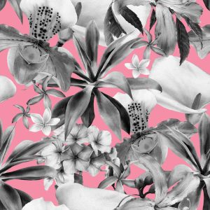 Papier Peint Orchidée Nature Plantes Nature – Image 1