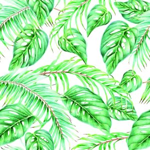 Papier Peint Feuilles – Image 1