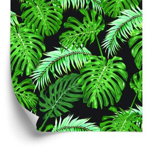 Papier Peint Feuilles De Palmier Et De Monstère – Image 2