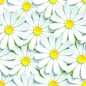 Papier Peint Fleurs - Camomille 3D – Image 1