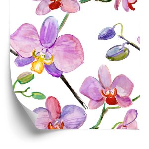 Papier Peint Orchidées Orchidées Fleurs Plantes – Image 2