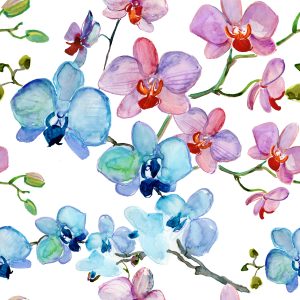 Papier Peint Pour Salon Orchidée Fleurs Nature Orchidées – Image 1