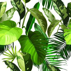 Papier Peint Fond D'écran – Image 1