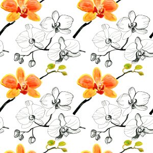 Papier Peint Pour Le Salon Fleurs Orchidées Orchidée Nature – Image 1