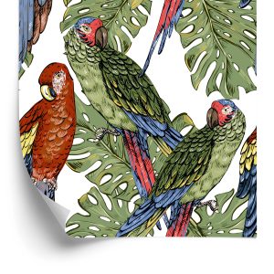 Papier Peint Perroquets Colorés – Image 2