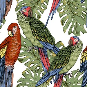 Papier Peint Perroquets Colorés – Image 1