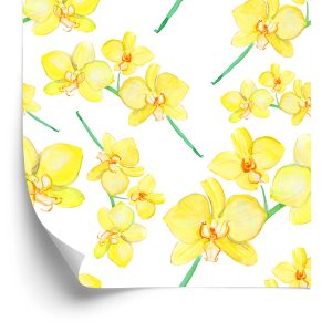 Papier Peint Fleurs, Plantes, Orchidées, Nature, Pour Salon – Image 2