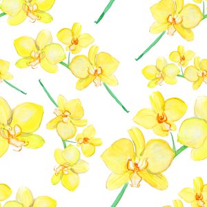 Papier Peint Fleurs, Plantes, Orchidées, Nature, Pour Salon – Image 1