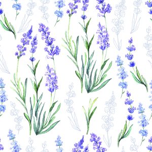 Papier Peint Variété De Lavande – Image 1